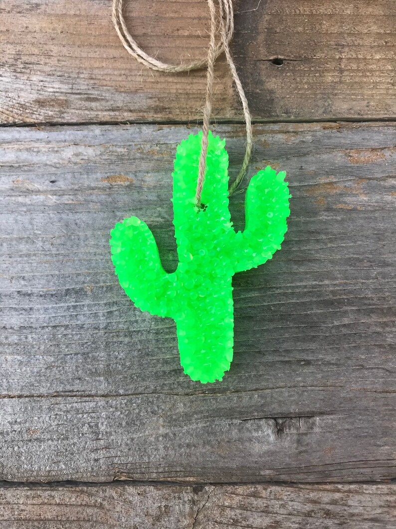 Cute Cactus Car Fresheners/ Car Freshies Etsy