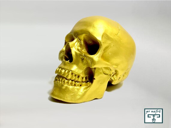 頭蓋骨 - 実物大。手彫り。エジプトのミイラの頭蓋骨。金色。人間の
