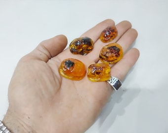 Pharaonic beetle. Egyptian scarab Rare amber scarab. A distinctive and rare small scarab. Made in Egypt