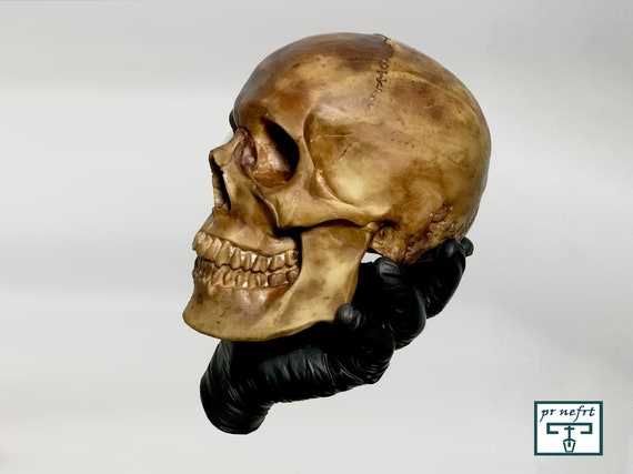 頭蓋骨 - 実物大。手彫り。エジプトのミイラの頭蓋骨。茶色。人間の