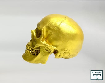 頭蓋骨 - 実物大。手彫り。エジプトのミイラの頭蓋骨。金色。人間の
