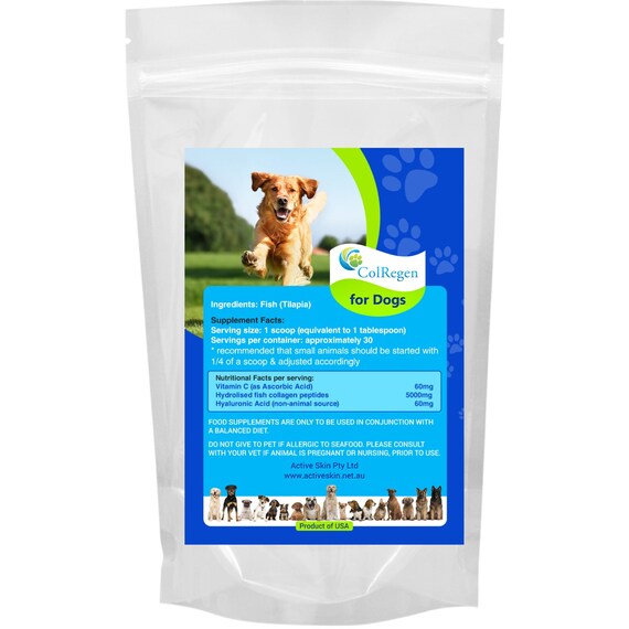 Can You Give Your Dog Protein Powder