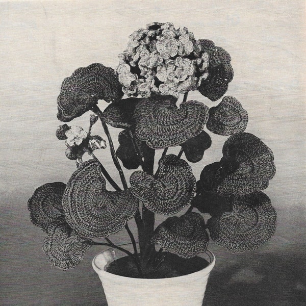 Vintage Crochet Potted Geranium Flower, PATTERN 1950's***PDF instant digital download***NOT a finished item, instructions only