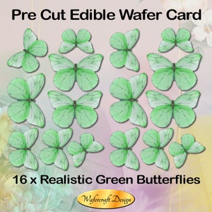 Può includere: Scheda di wafer commestibile pretagliata con 16 farfalle verdi realistiche. Le farfalle hanno ali verdi e bianche dettagliate. Il testo "Pre Cut Edible Wafer Card" e "16 x Realistic Green Butterflies" è visualizzato.