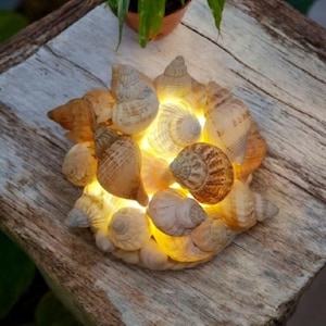 Whelk Shell Lamp | Handmade Coastal Night Light | USB Bedside Light | Nautical Home Decor Gift