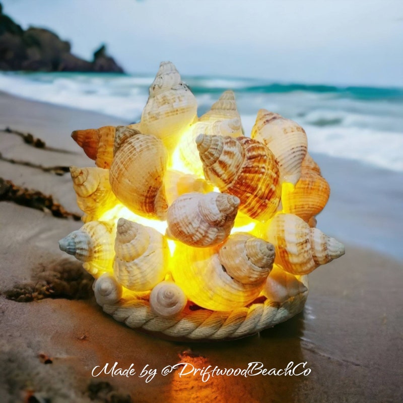 Lamp Shelll Shell Lamp - Etsy