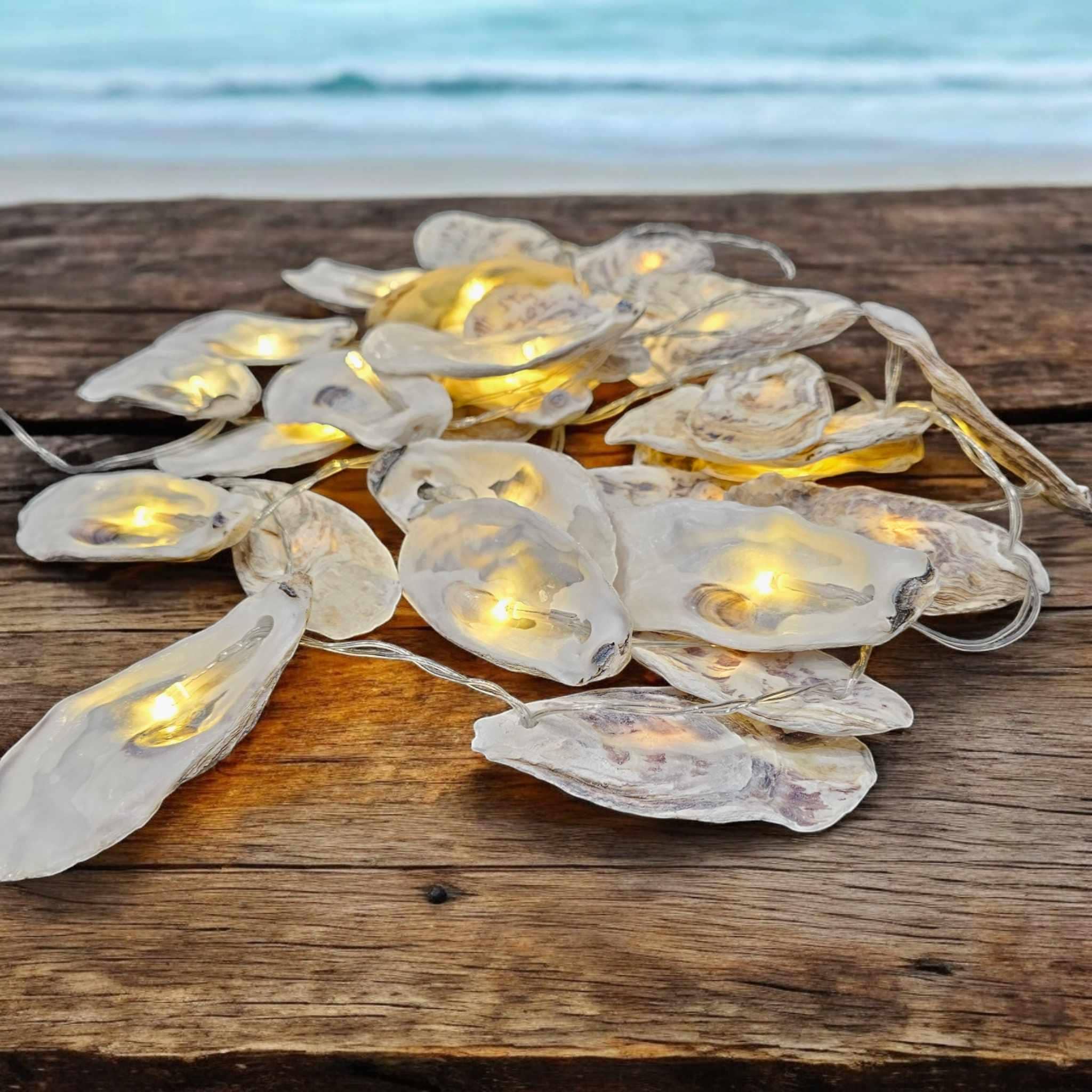 Oyster Shell LED String Lights: Whitstable Coastal Decor - Etsy