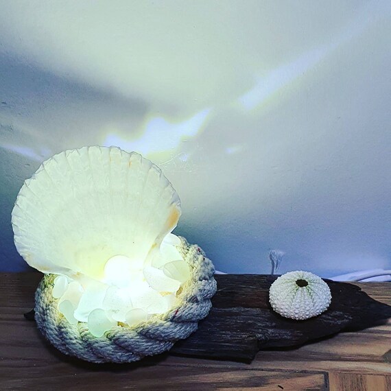 Etsy on sale shell lamp