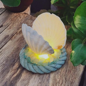 Lámpara LED de concha de vieira hecha a mano: decoración costera con un toque playero