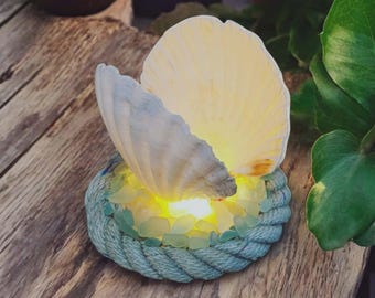 Handgefertigte Jakobsmuschel-LED-Lampe: Strandkämmtes Küstendekor