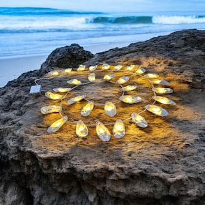 May include: A string of fairy lights shaped like oyster shells, arranged in a circle on a rocky beach. The lights are lit and casting a warm glow.