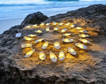 LED String Sea Shell Light (10 Feet/3 Meters) - Etsy