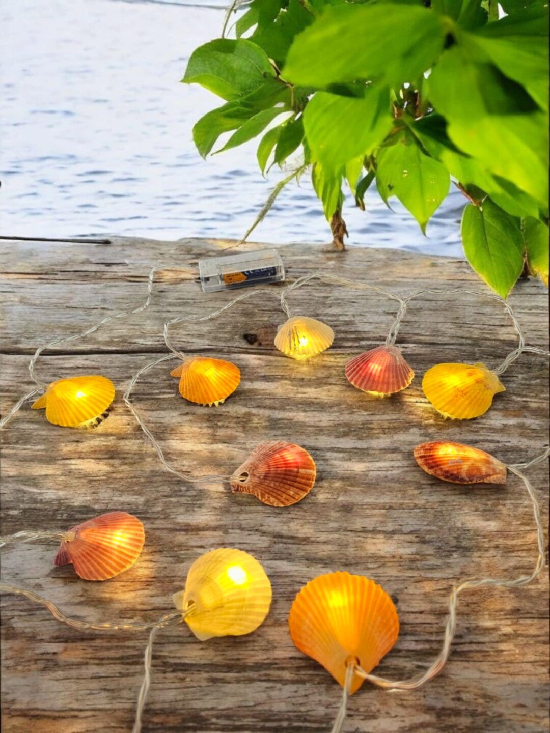 Scallop Shell String Lights: Beachcombed Coastal Decor - Etsy