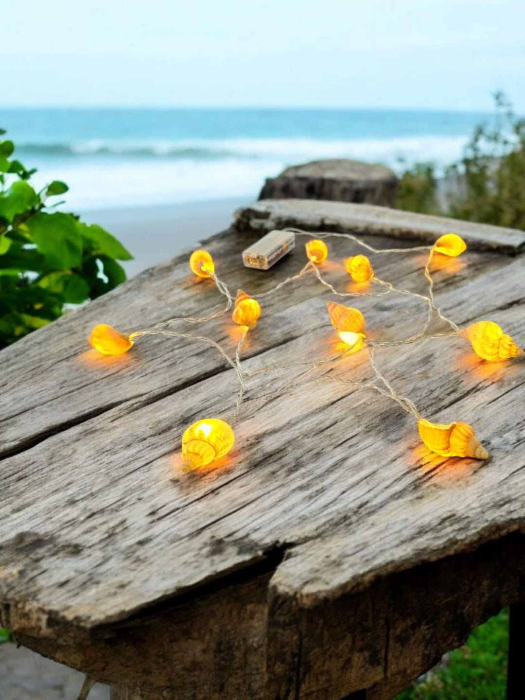 Whelk Shell String Lights: Coastal Decor, Kent Coast Beachcombed - Etsy