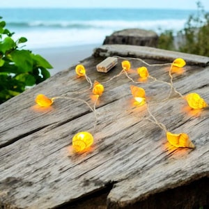 May include: A string of seashell-shaped fairy lights with a warm yellow glow, resting on a weathered wooden surface. The lights are strung together with a thin, natural-colored wire. The background features a beach scene with the ocean and sky.