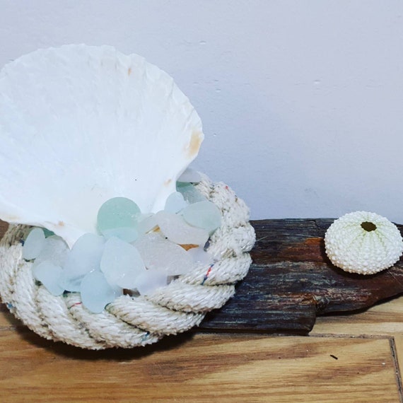 Scallop on sale shell lamp
