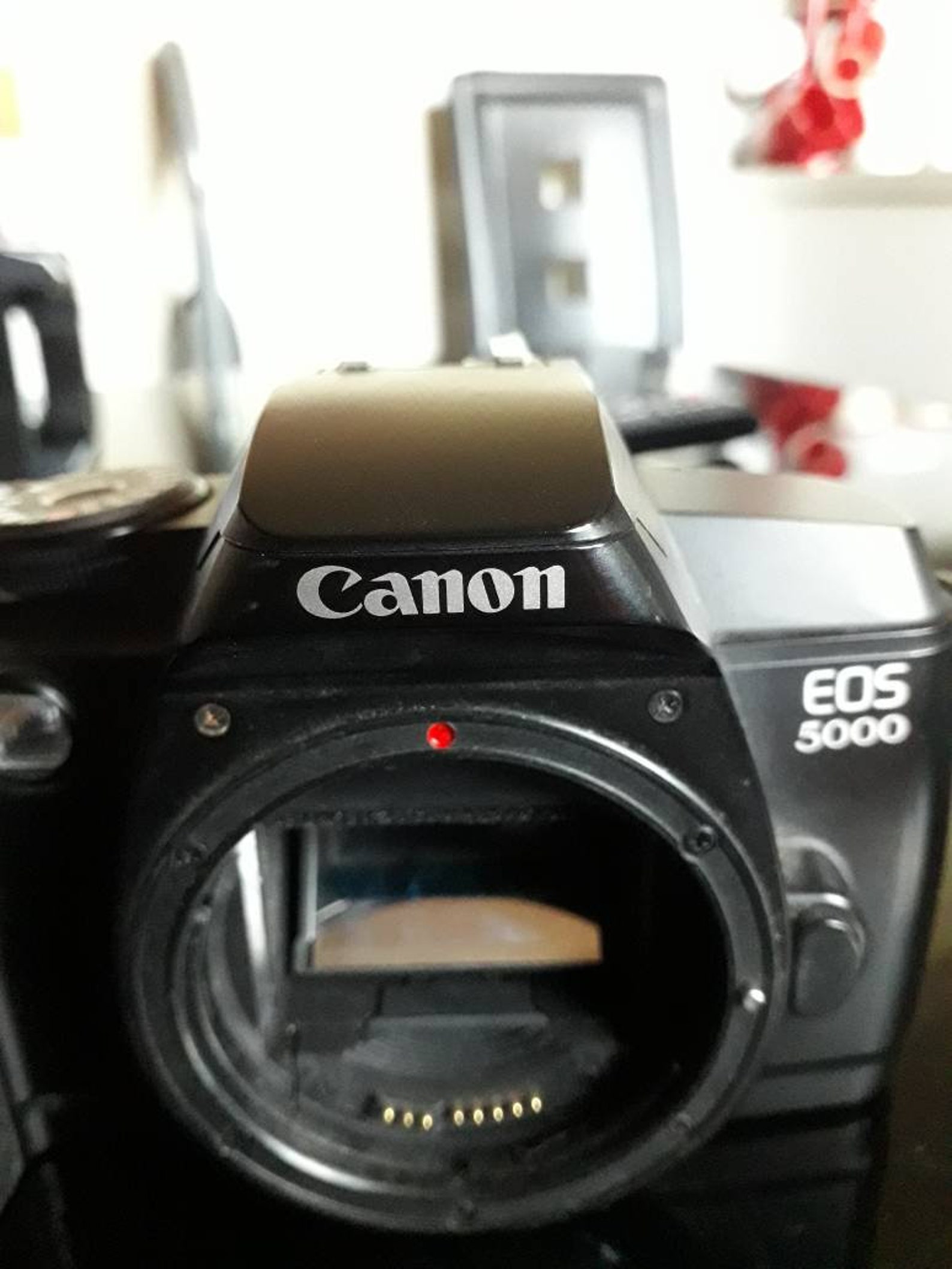 Canon Eos 5000 35 mm slr Corps de caméra de film seulement Etsy