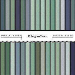 Könnte beinhalten: Ein digitales Papierpaket mit 30 verschiedenen Grüntönen und Blautönen, die an Seegras erinnern. Das Paket ist mit "30 Seagrass Tones" und "Digital Paper" beschriftet.