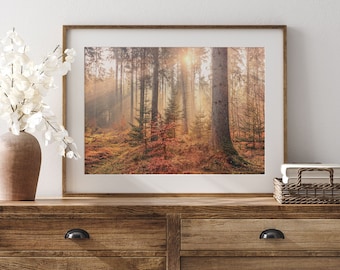 Autumn Forest Landscape Print: Moody Fall Woodland Wall Art | MF148