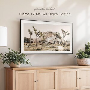 Nature Frame TV Art showing Joshua trees and sculptural boulders under soft sunlight. High-resolution 4K digital download optimized for The Frame TV by Printable Garden.
