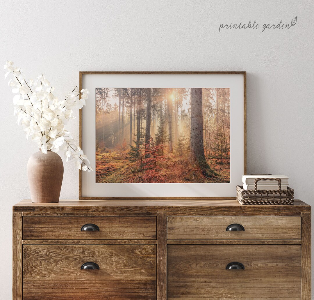 Autumn Forest Landscape Print: Moody Fall Woodland Wall Art | MF148 - Etsy