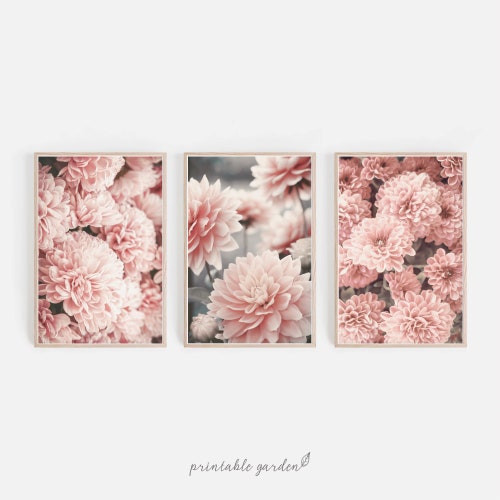 Dahlia Print Pink Blush Wall Art Flower Wall Decor Digital Etsy
