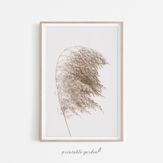 Pampas Grass Print Pampas Grass Wall Art Farmhouse Home Etsy Finland