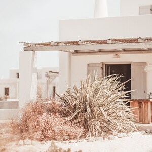 May include: A white building with a wooden pergola and a large green plant in front of it. The building has a white door and windows.