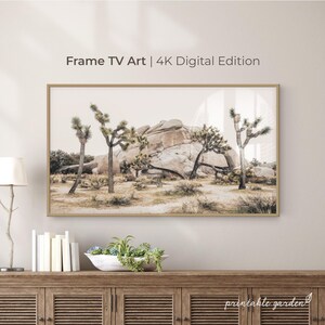 4K digital artwork for Samsung The Frame TV featuring Joshua Tree National Park with rock formations and desert vegetation in soft beige light. A warm, natural display for calm interiors.