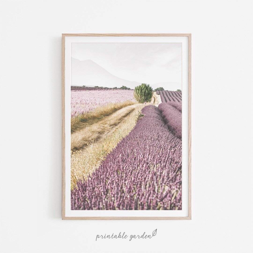 France Print Lavender Field Print Lavender Print French - Etsy