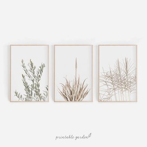 Neutral Wall Art, Neutral Beige Set of 3 Prints, Minimalist Botanical Prints, Living Room Decor, Cottage Decor, DIGITAL DOWNLOAD - NT115