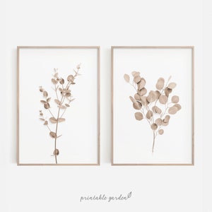 May include: Two framed prints of botanical illustrations featuring branches of dried eucalyptus leaves in shades of brown against a white background.