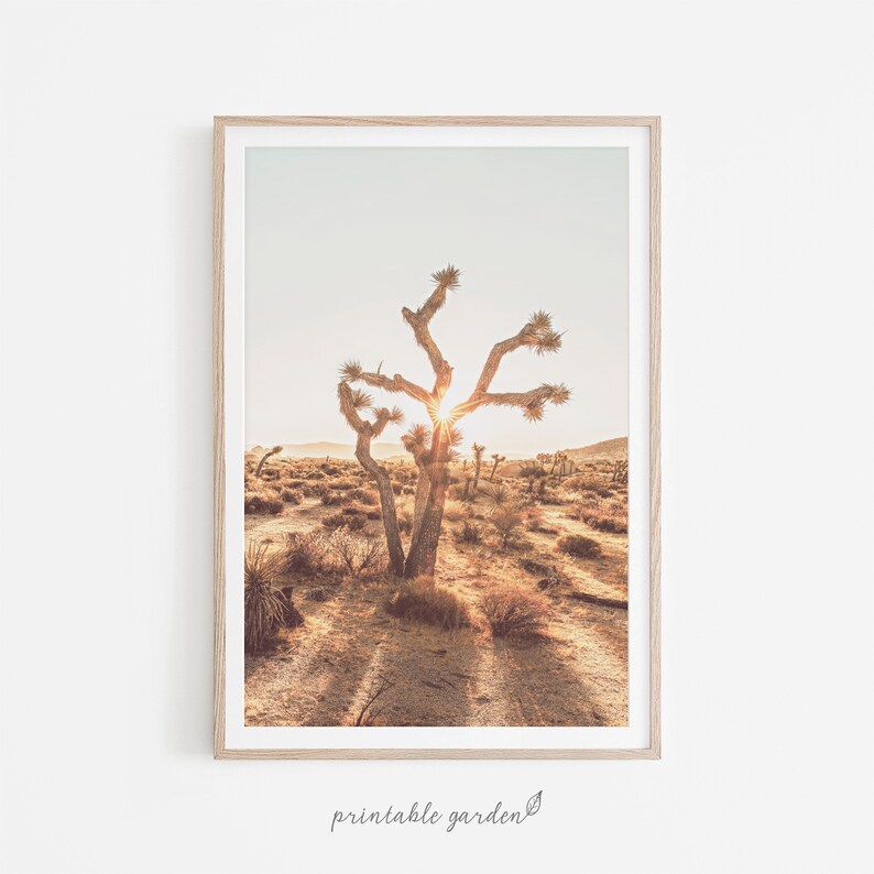 Desert Wall Art Desert Printable Wall Gallery Arizona Desert Etsy