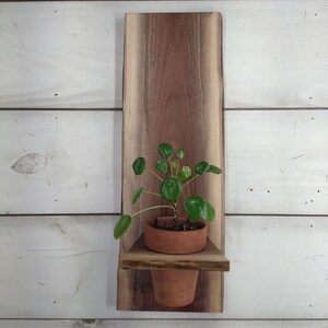 Live edge flower odell vase wall display