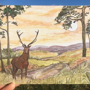 A5-GROETKAART ~ "Sunset Stag" ~ blanco voor elke gelegenheid ~ Handgemaakt door kunstenaar Angela Hodgson