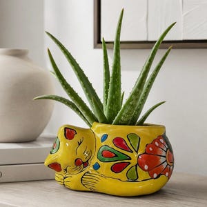 May include: A yellow ceramic planter shaped like a sleeping cat, featuring hand-painted floral patterns in red, green, and blue. The planter holds a green aloe vera plant with long, pointed leaves extending upward from the cat's back.