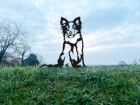 Border collie deals metal art