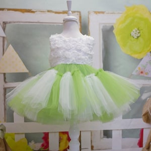 Princess Green and White Tulle Dress: Baby Wedding, First Birthday