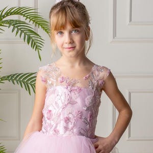 Blush Pink 3D Flower Girl Dress, Mauve Flower Girl Dress, Pink Tutu Dress, Mauve Birthday Dress, Tulle Flower Girl Dress