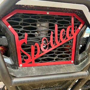 Polaris RZR 200 Grill Front Insert &quot;SPOILED&quot;