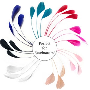 Feathers for Fascinator Millinery Feathers Coloured Feathers Soft Feathers Millinery Supplies Long Stripped Feathers Craft Feathers