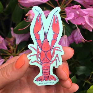 Crawfish Vinyl Sticker - Ellie McGinnis Co.
