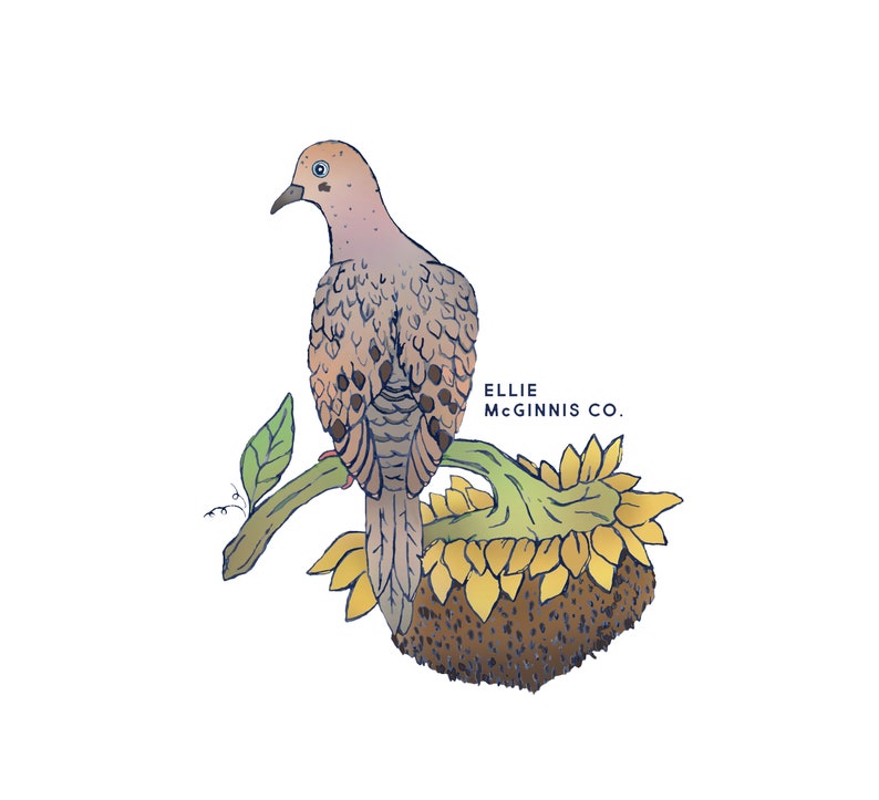 May include: A watercolour illustration of a dove perched on a sunflower stem. The dove is brown and grey with a light pink breast. The sunflower is yellow and brown with a green stem. The text "ELLIE MCGINNIS CO." is written in black below the dove.