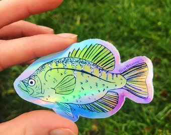 Holografische Vinyl Crappie Sticker - Ellie McGinnis Co