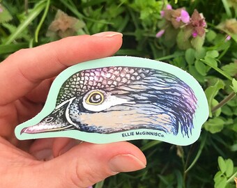 Wood Duck Hen Vinyl Sticker - Ellie McGinnis Co.