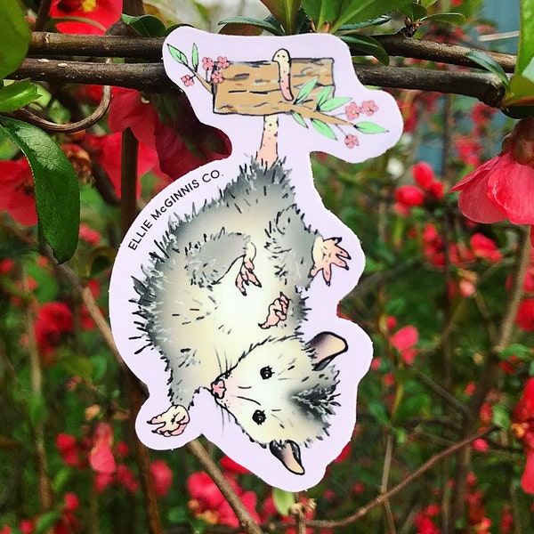 Possum Vinyl Sticker - Ellie McGinnis Co.