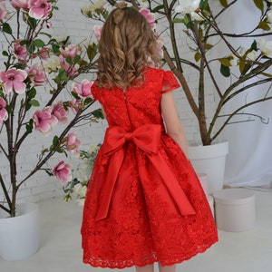 Red lace toddler dress, First birthday baby girl dress, Princess Dress Short Sleeve, baby wedding dress image 6