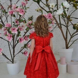 Red lace toddler dress, First birthday baby girl dress, Princess Dress Short Sleeve, baby wedding dress image 4