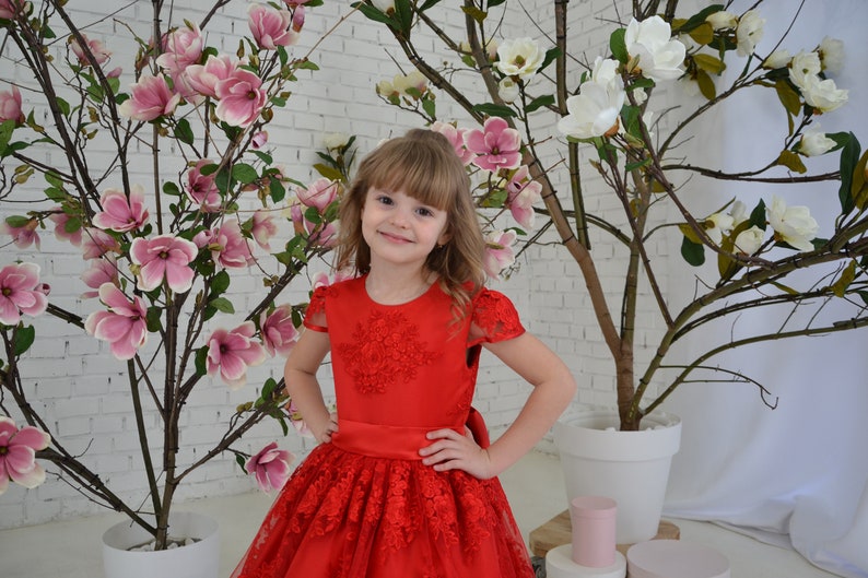 Red lace toddler dress, First birthday baby girl dress, Princess Dress Short Sleeve, baby wedding dress image 3
