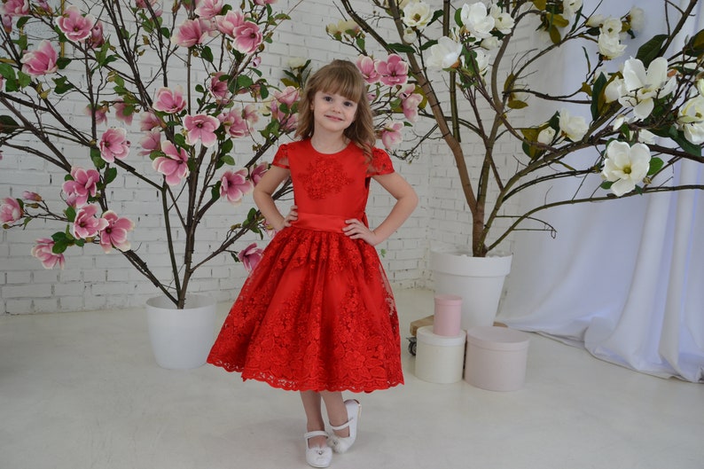 Red lace toddler dress, First birthday baby girl dress, Princess Dress Short Sleeve, baby wedding dress image 5